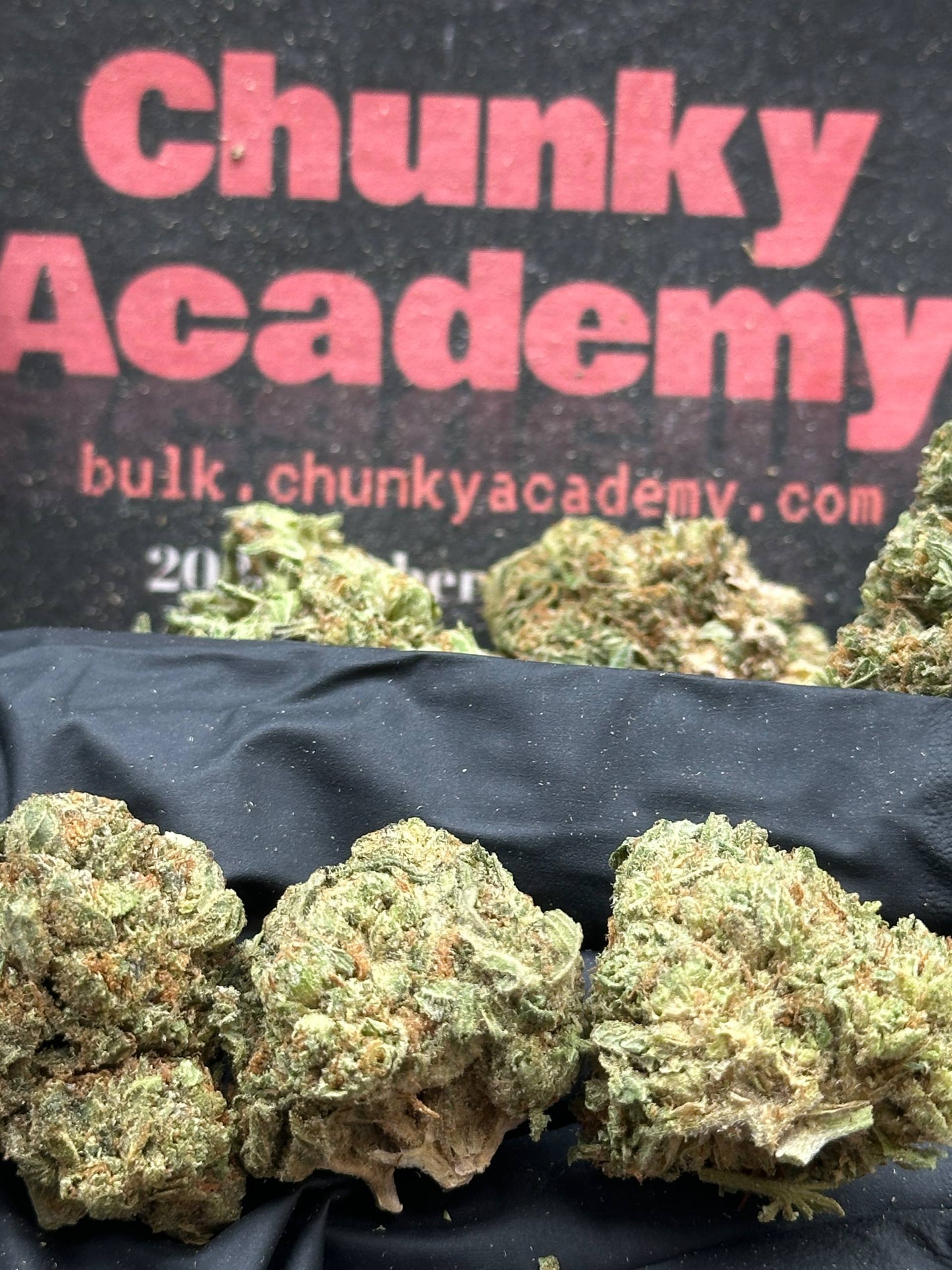#L002 - Oak Hollow (Indica)
