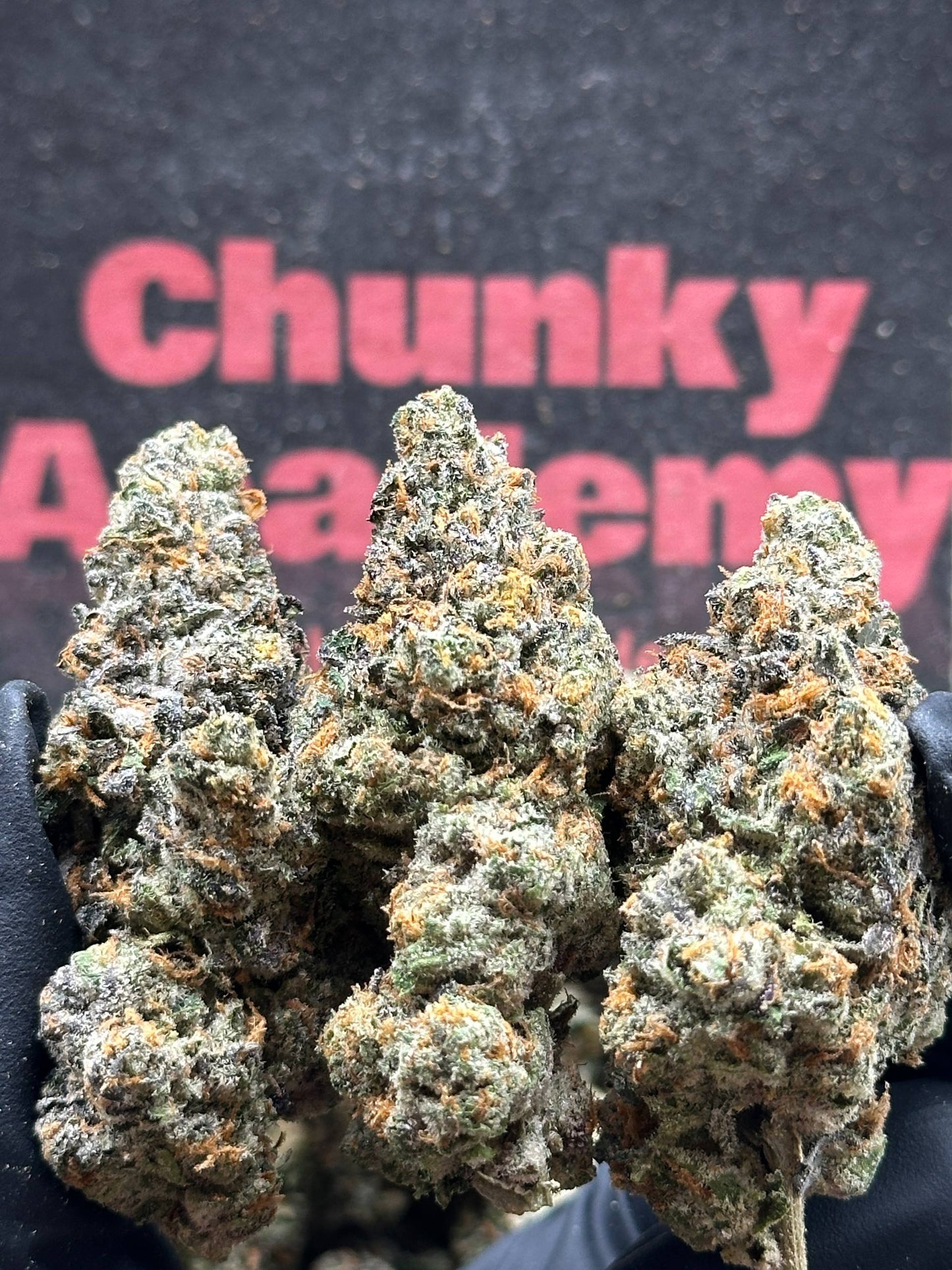 #INGS120 - Sherbet Gas (Hybrid)