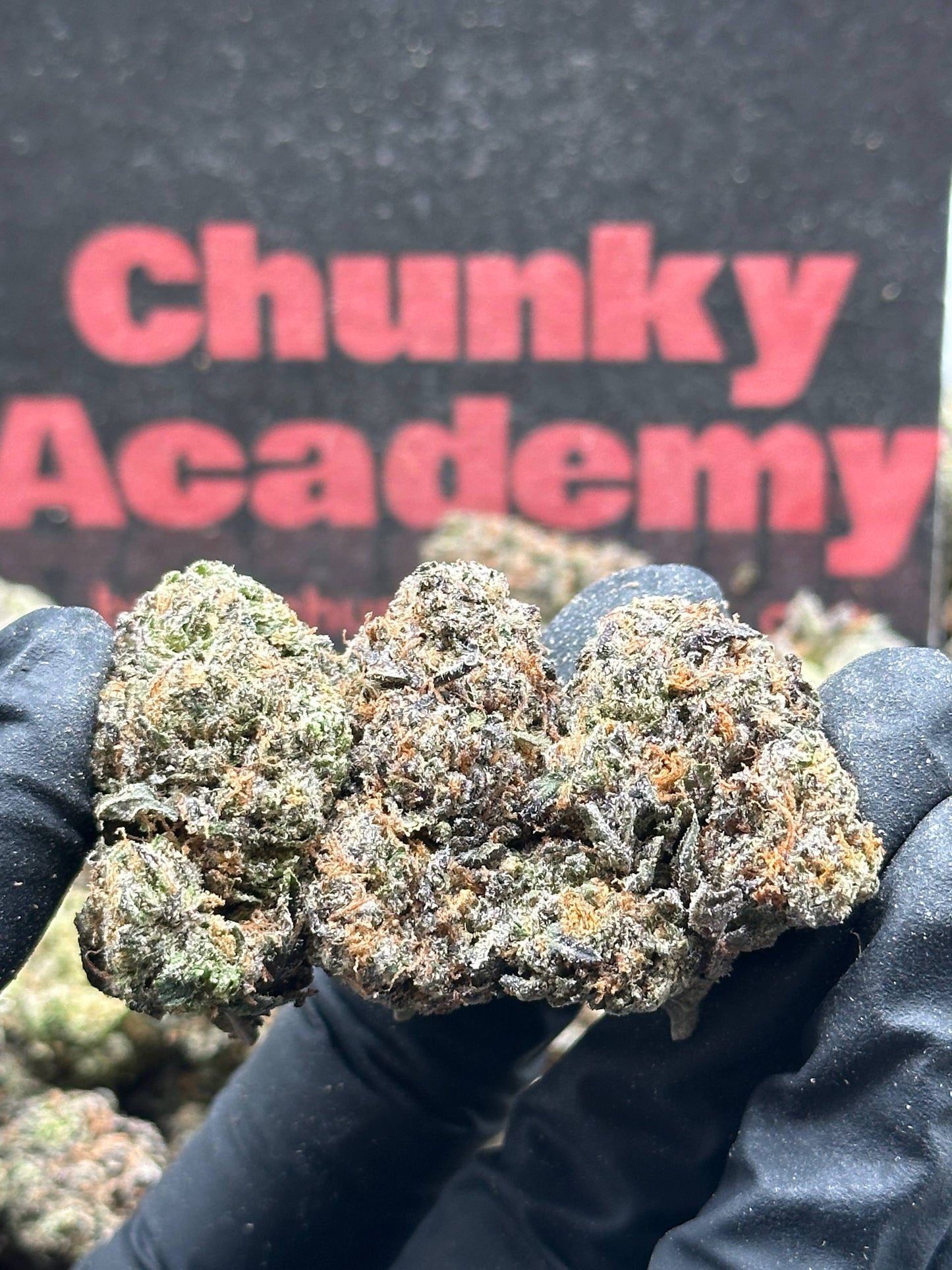 #A021 - Diamond Cream (Indica)