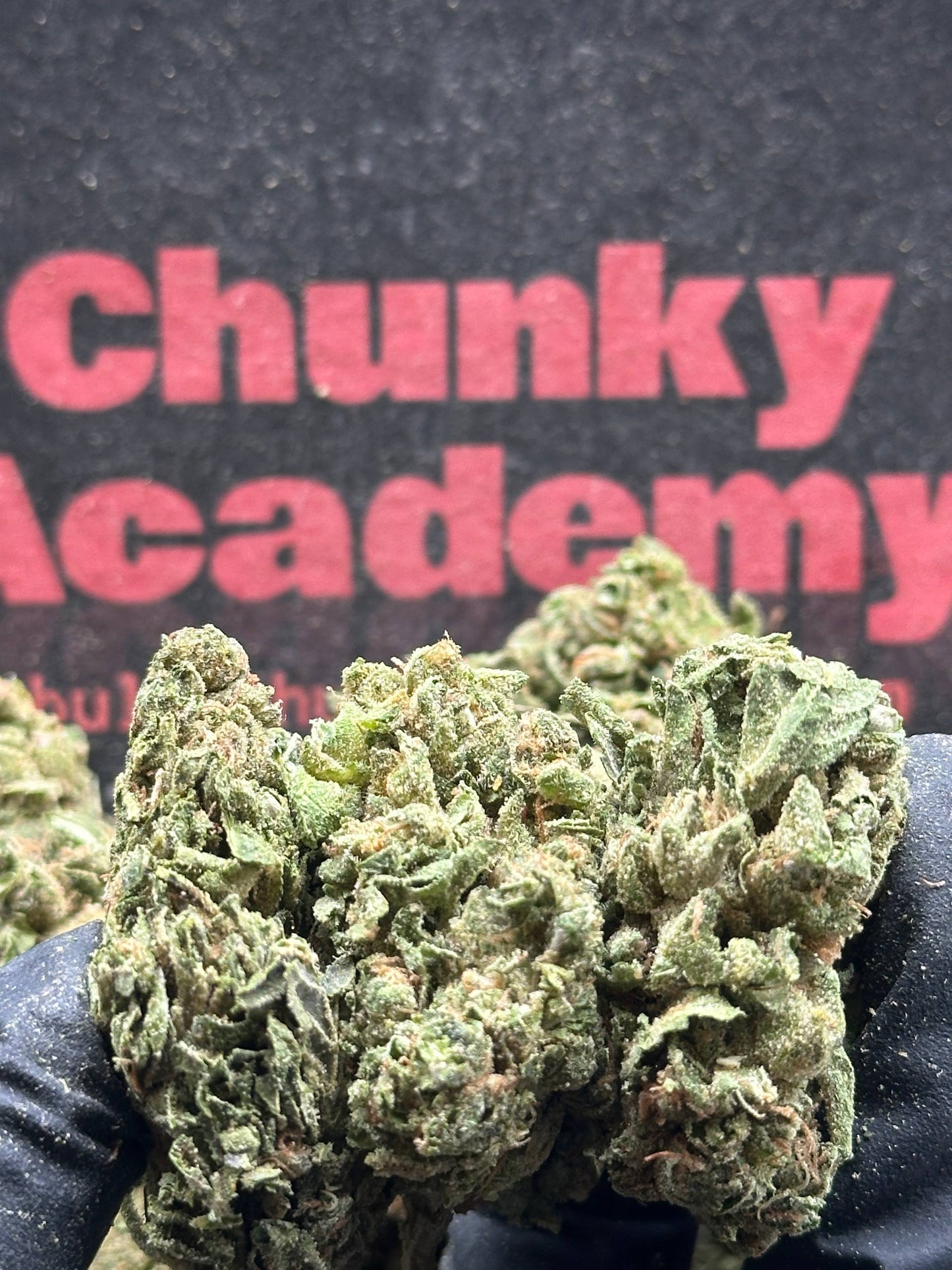 #L003- Cedar Ridge (Indica)