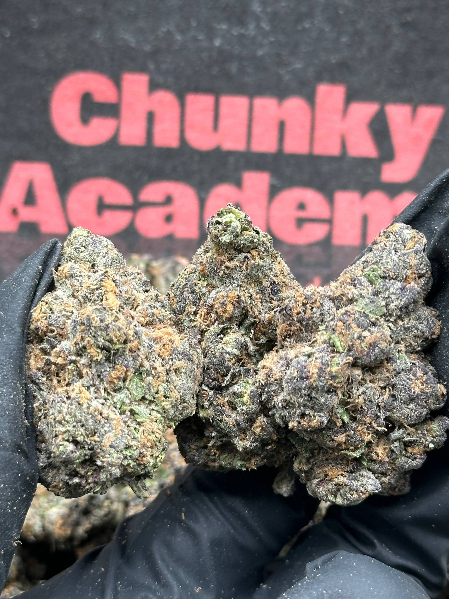 #A024 - Cherry Velvet (Indica)