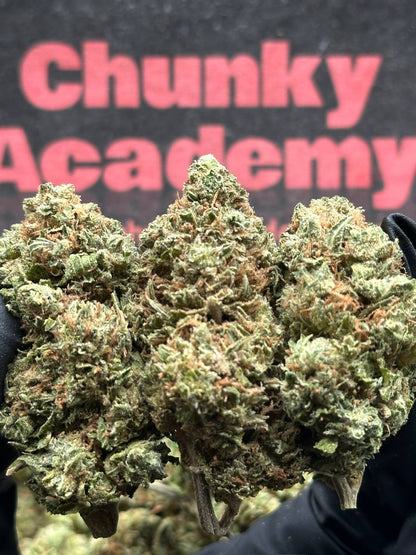 #B021- Prairie Basin (Indica)