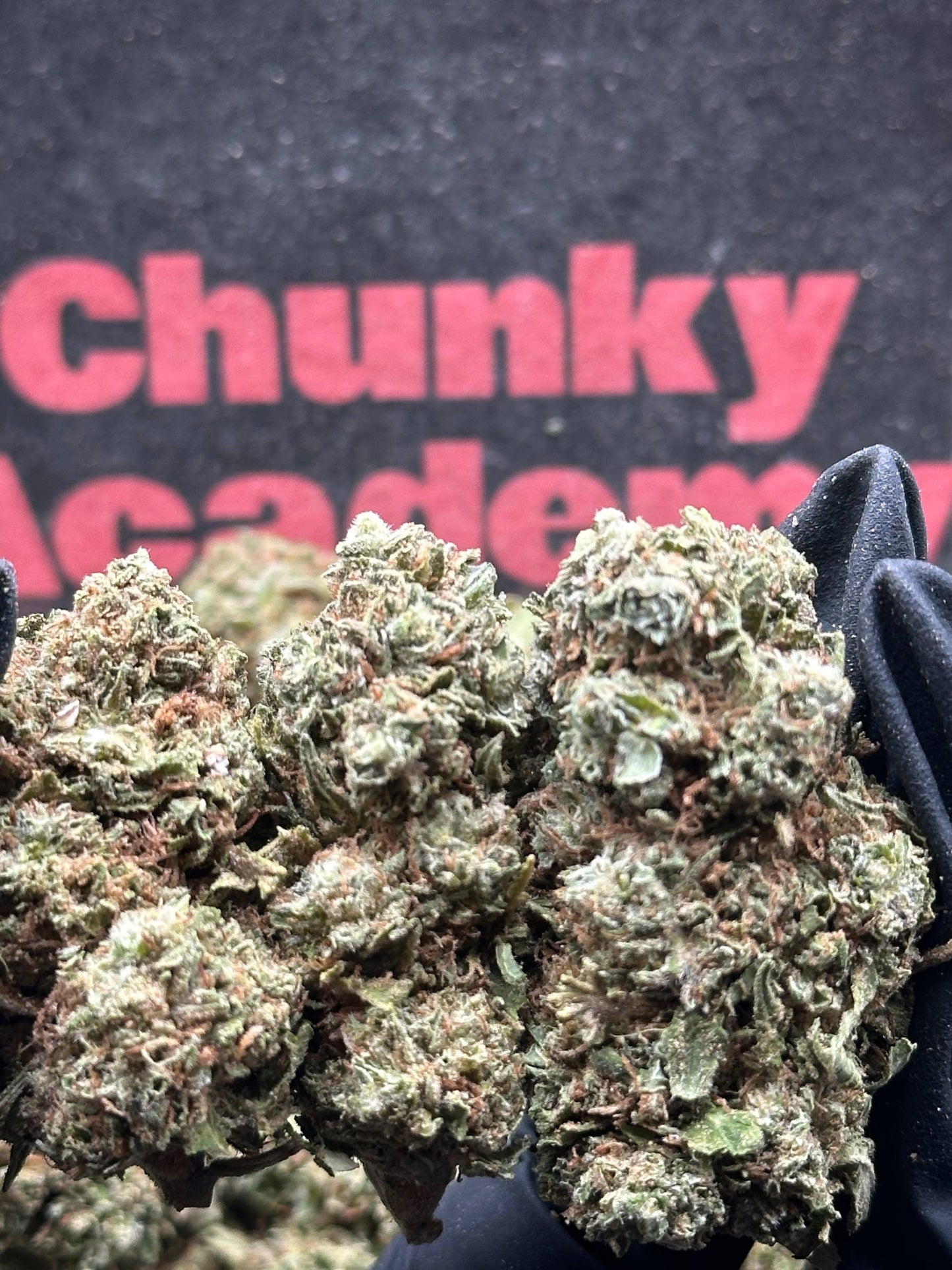 #B023- Cedar Trail (Hybrid)