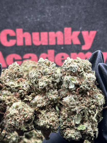 #B023- Cedar Trail (Hybrid)