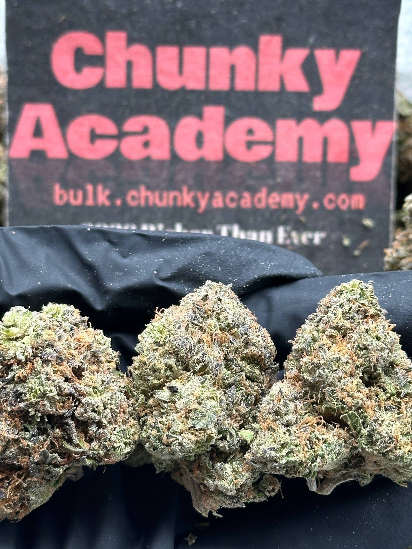 #A031 - Cherry Gelato (Indica)
