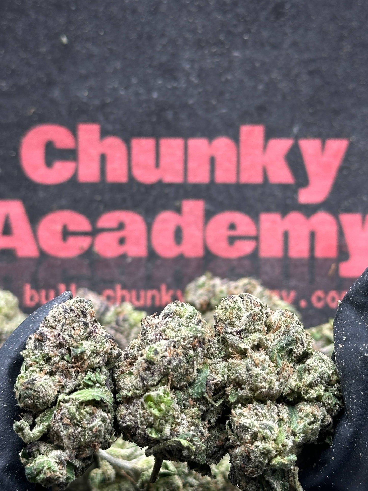 #A032 - Purple Gelato (Hybrid)