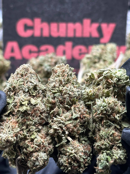 #B029- Timber Creek (Indica)