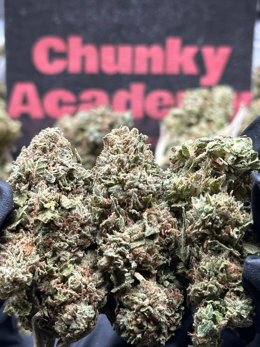 #B029- Timber Creek (Indica)