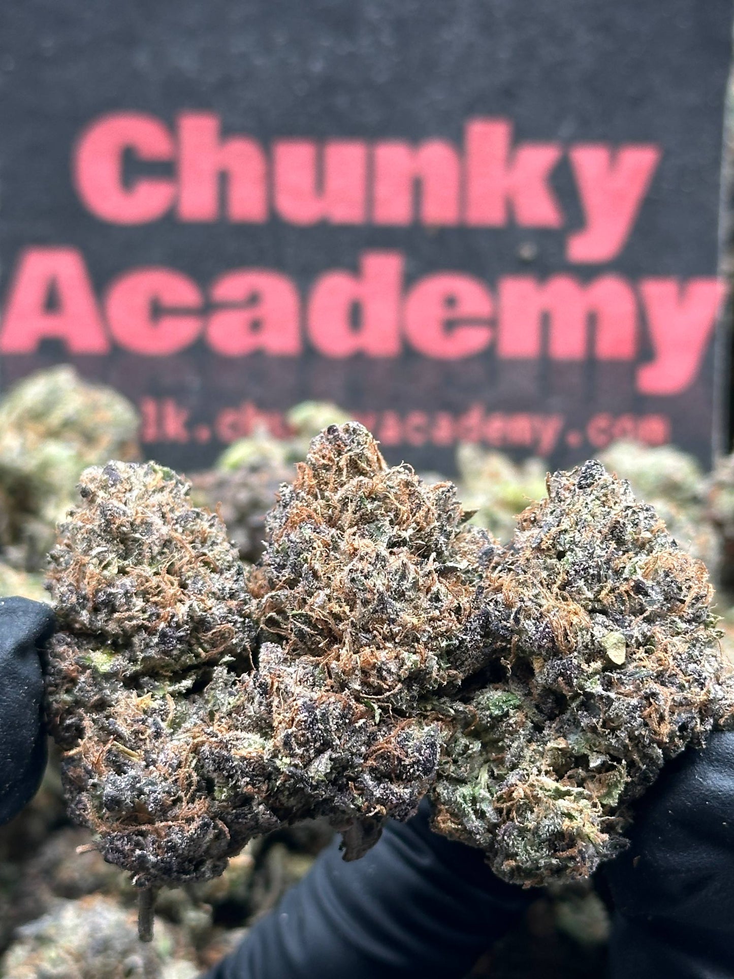 #A046 - Cherry Mosaic (Indica)