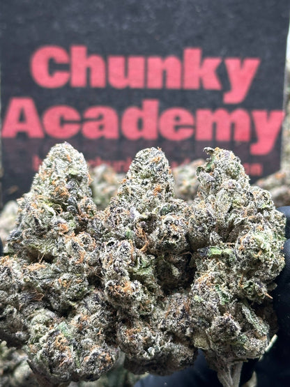 #TD001 - Crown Cannoli (Hybrid)