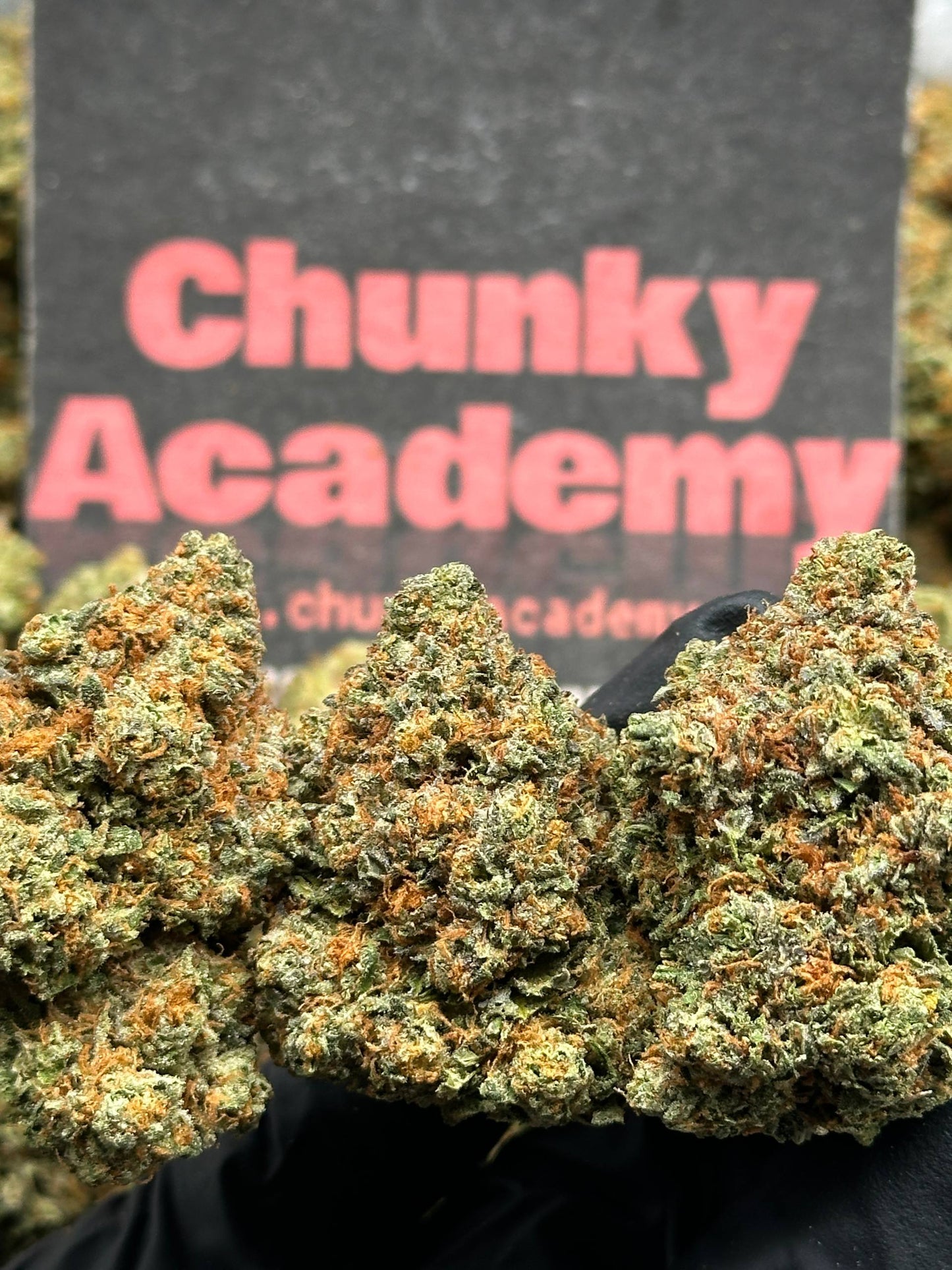 #IP037- Morning Grove (Sativa)