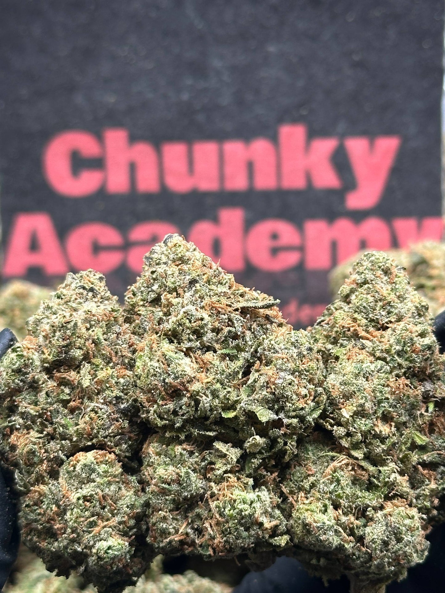 #IP035- Oak Fuel (Hybrid)