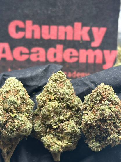 #B037- Rustic Grove (Sativa)
