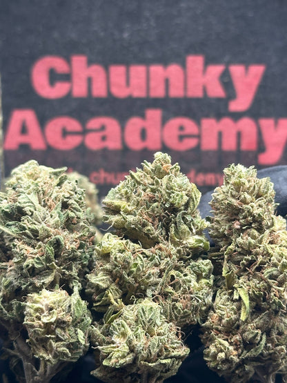#L009- Forest Valley (Indica)