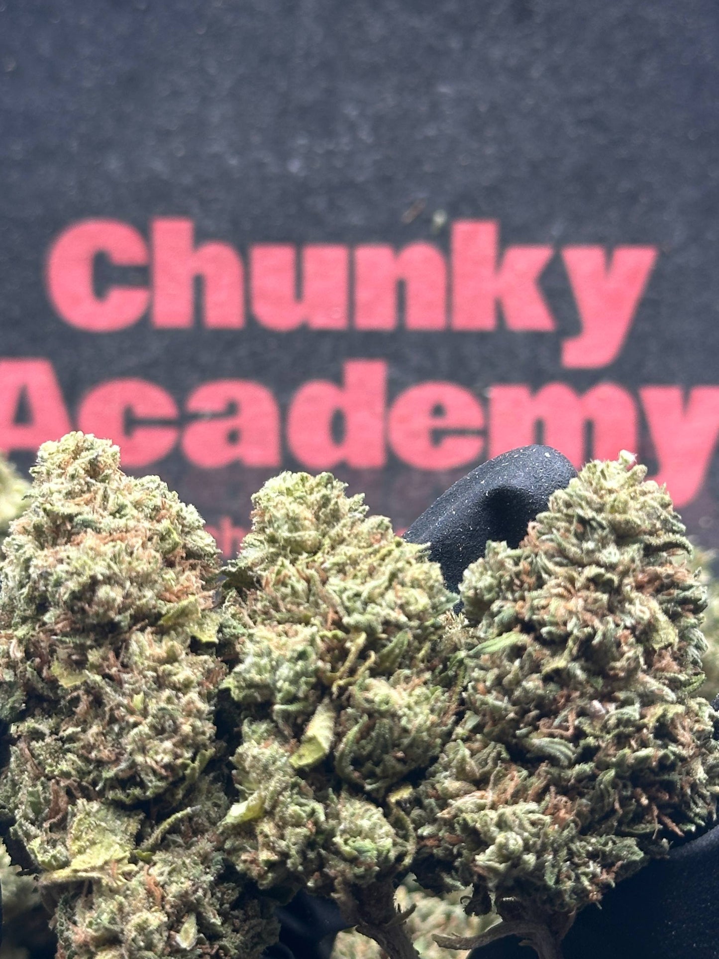 #L010- Alder Creek (Sativa)