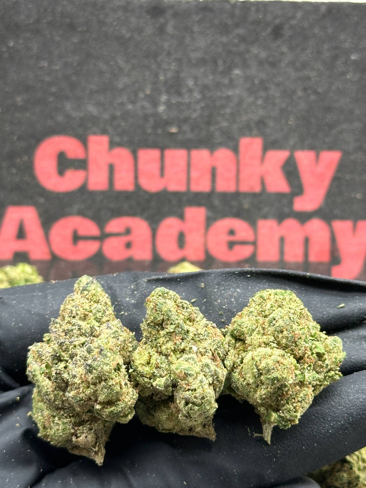 #B053 -Walnut Grove (Indica)