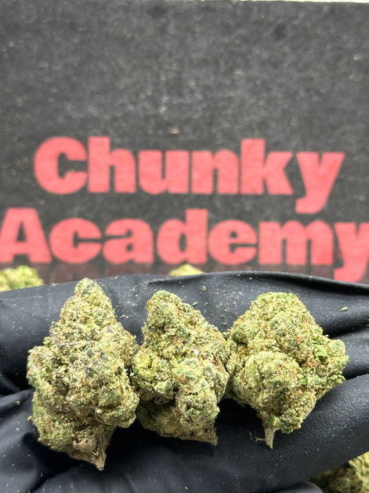 #B053 -Walnut Grove (Indica)