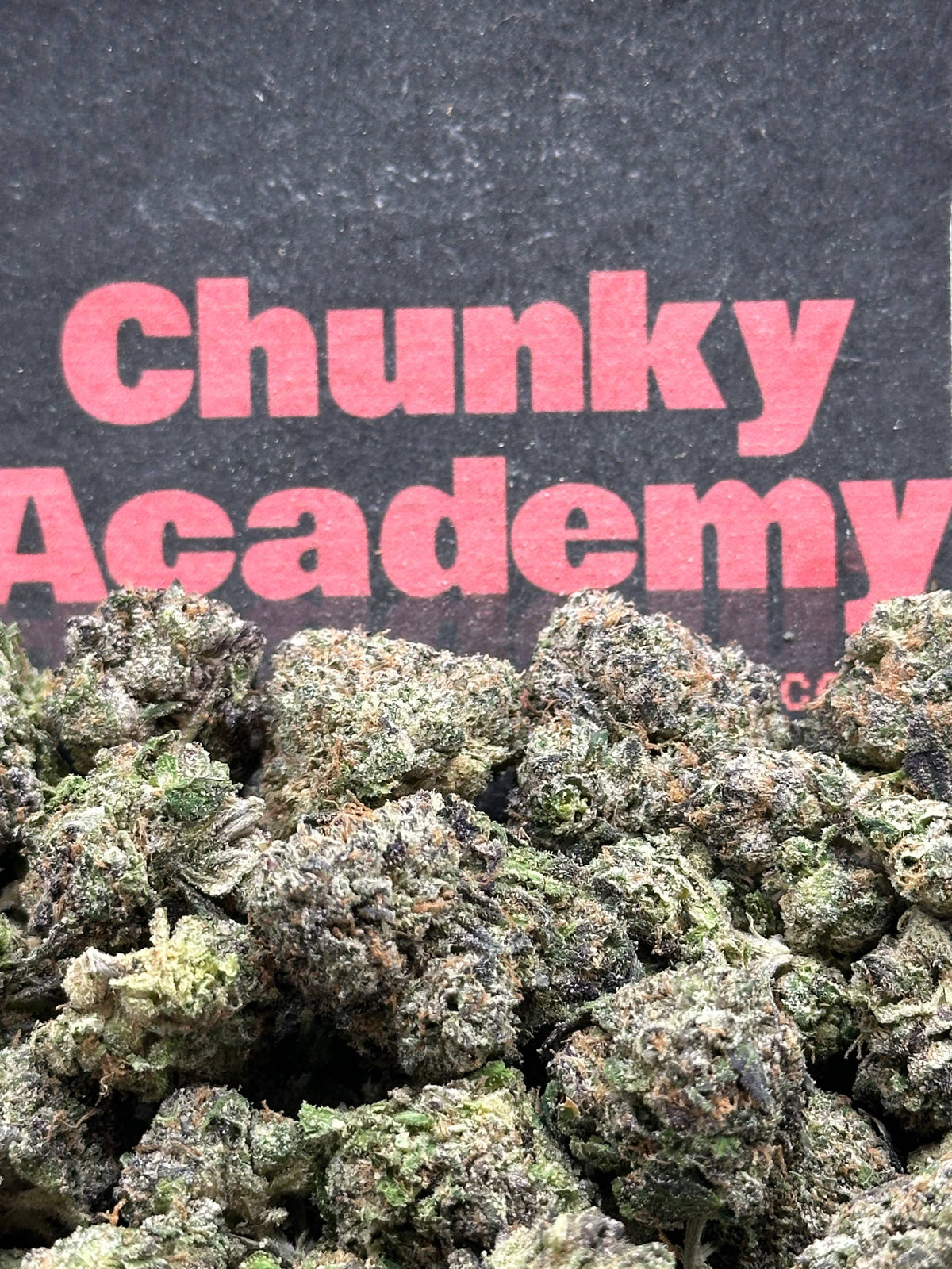 #A099 - Cream Biscotti (Hybrid)