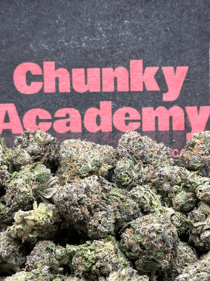 #A099 - Cream Biscotti (Hybrid)