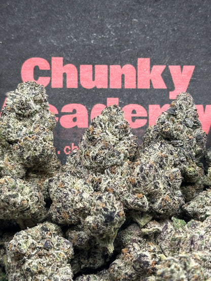 #A101 - Cream Royale (Hybrid)
