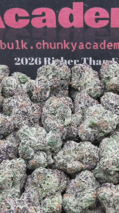 #RM58 - Royal Gelato SM (Hybrid)