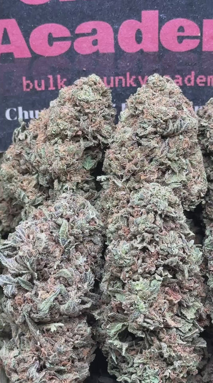 #L597 - Peach Cream (Hybrid)