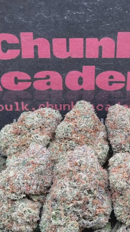 #EA398 - Guava Monarch (Hybrid)