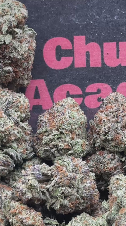 #B079 - Silver Prairie (Hybrid)