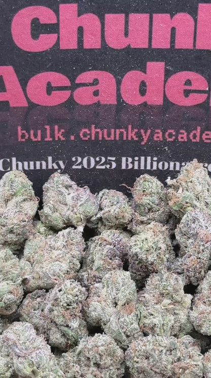 #SS231 - White Chocolate SM (Hybrid)