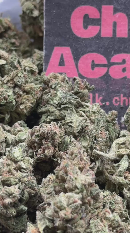 #L003- Cedar Ridge (Indica)