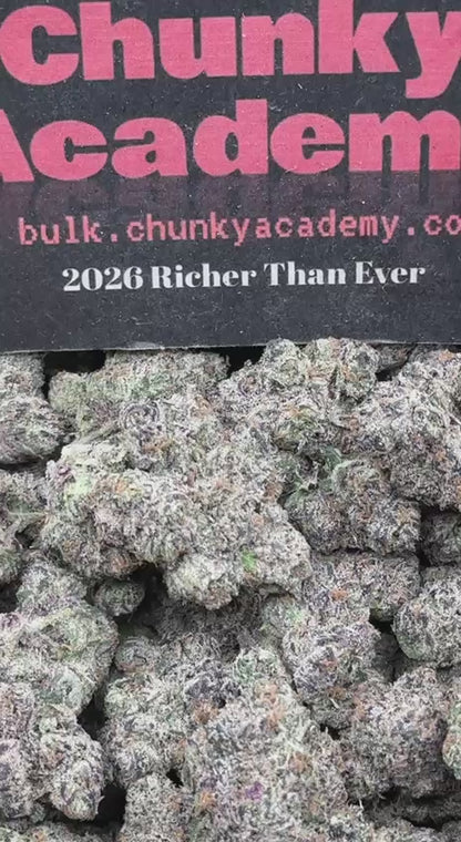 #RAP725 - Lime Sherbet (Indica Hybrid)