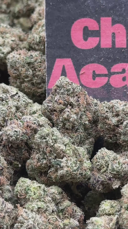 #A005 - Platinum Cream (Indica)