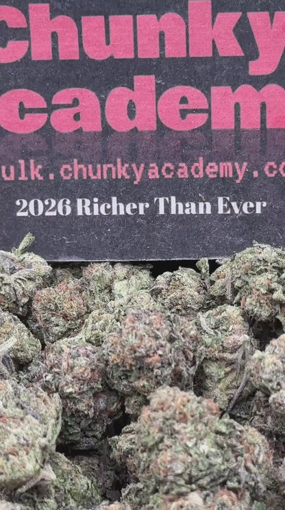 #CEA017 - Lavender Haze (Hybrid)