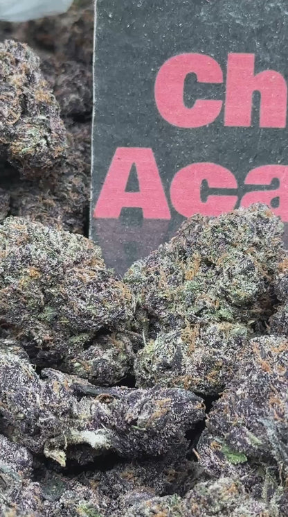 #A026 - Golden Zlushie (Hybrid)