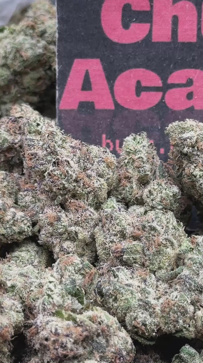 #CIN400 - Cherry Cream Royale (Indica)