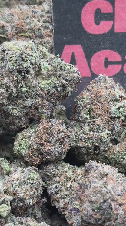 #A047 - Candy Eclipse (Hybrid)