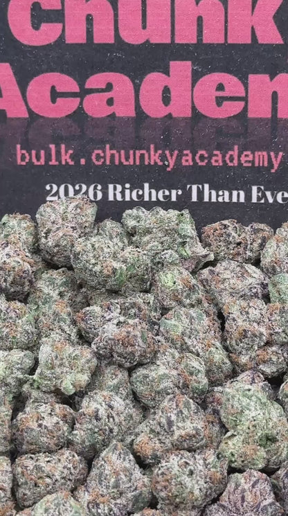 #SS421 - Lunar Custard SM (Hybrid)