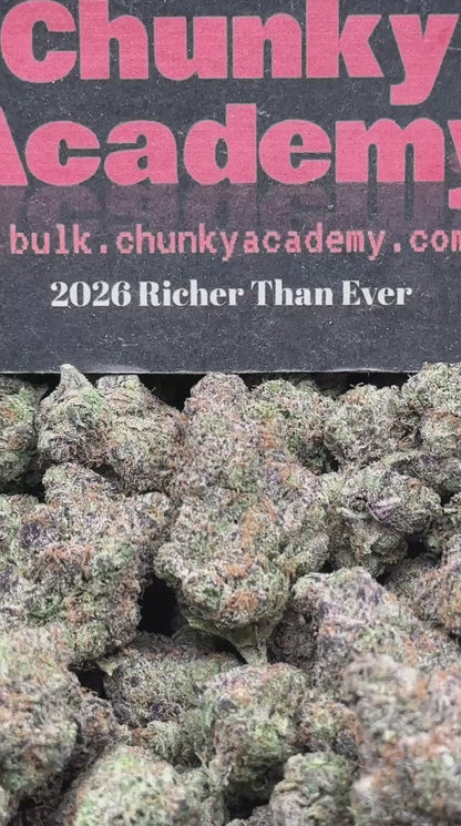 #EA533 - Raspberry Sherbet (Hybrid)