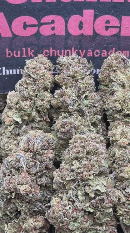 #L568 - Vanilla Wafer (Indica Hybrid)