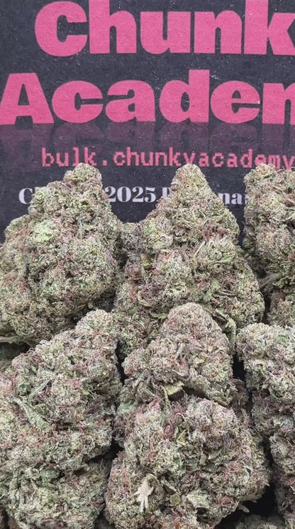 #B846 - Icebox Tart (Hybrid)