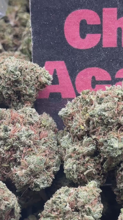 #B038- Forest Basin (Indica)