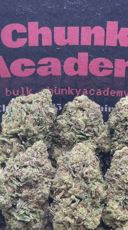 #L575 - Sunset Biscotti (Hybrid)