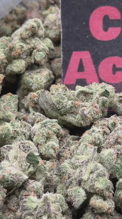 #S064 - Amber Sherbet SM (Hybrid)