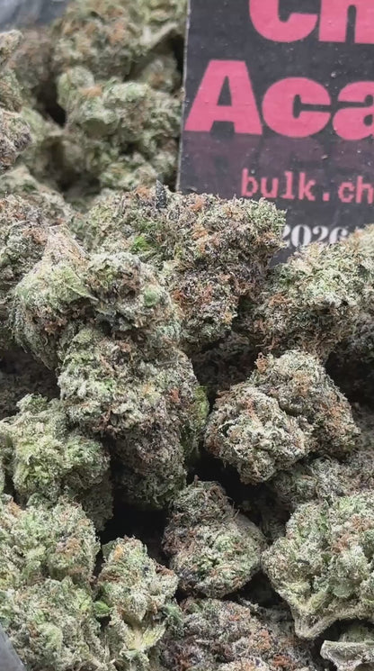 #IN730 - Crown Gelato (Indica)
