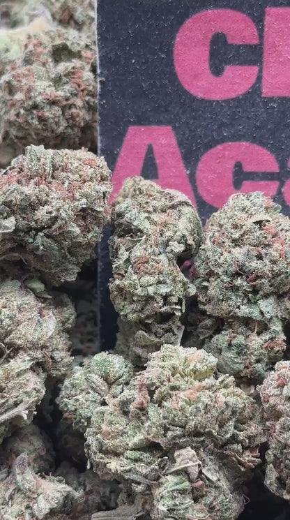 #B045 - Summit Timber (Hybrid)