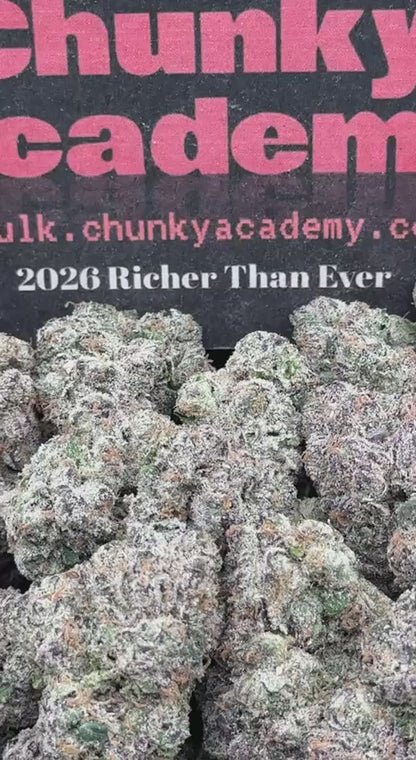 #IN802 - Pineapple Sherbet (Hybrid)