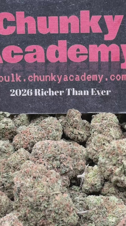 #FK140 - Lemon Soda (Hybrid)