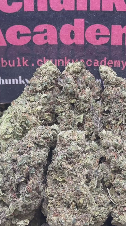 #B875 - Frozen Halo (Hybrid)