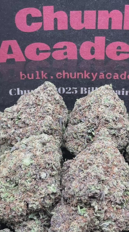 #L567 - Snickerdoodle (Indica)
