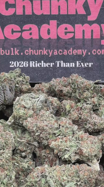 #FK147 - Mint Chocolate Chip (Hybrid)